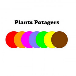 Nos codes couleurs plants potagers