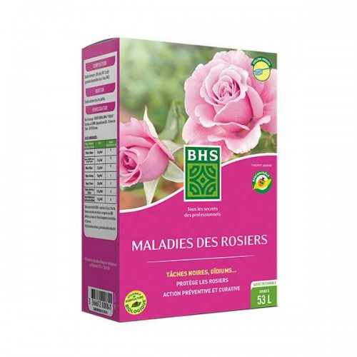 Maladie des rosiers