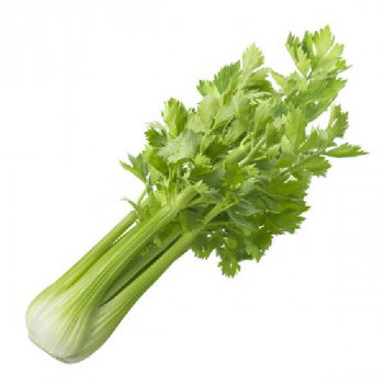 CELERI Branche Doré