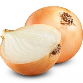 OIGNONS d'hiver