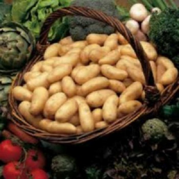 POMMES DE TERRE