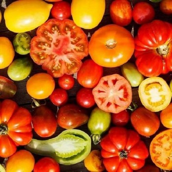 TOMATES