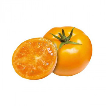 TOMATES Yellow Gold